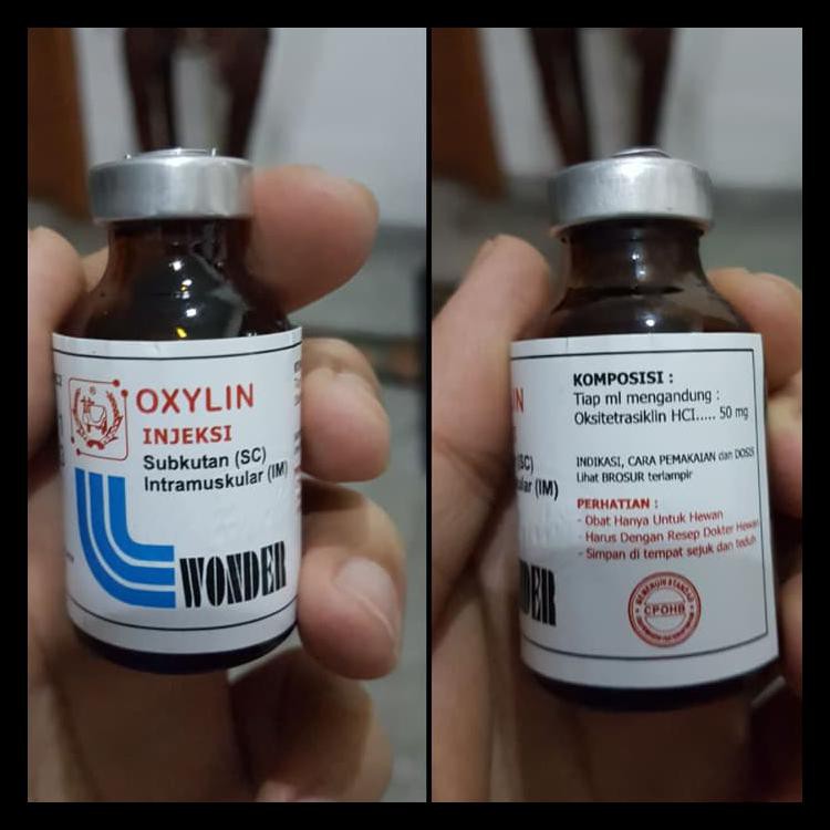 OXYLIN OKSITETRASIKLIN 50 ML INJEKSI OBAT ANTIBIOTIK UNTUK