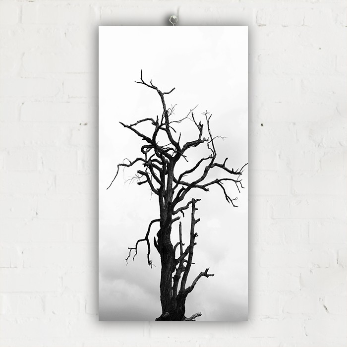 Jual Hiasan Dinding Pajangan Kayu Poster Minimalis Simple 15X30 Cm Phg03 Indonesia|Shopee Indonesia 700_x_700_jpg