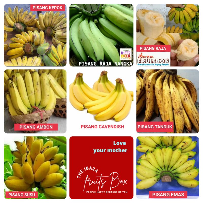 Jual Buah Pisang Kita Pisang Ambon/ Pisang Cavendish/ Pisang Raja