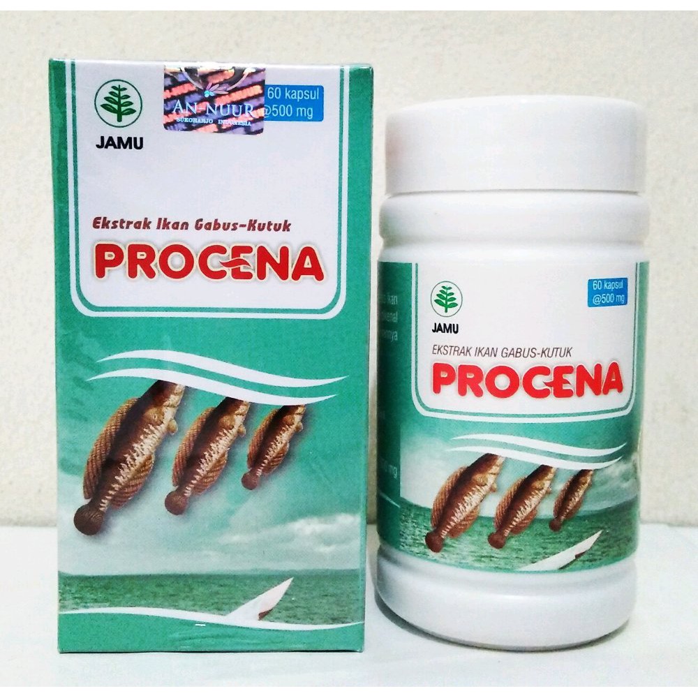 EXTRAK IKAN GABUS KUTUK PROCENA ISI 60 KAPSUL Shopee Indonesia