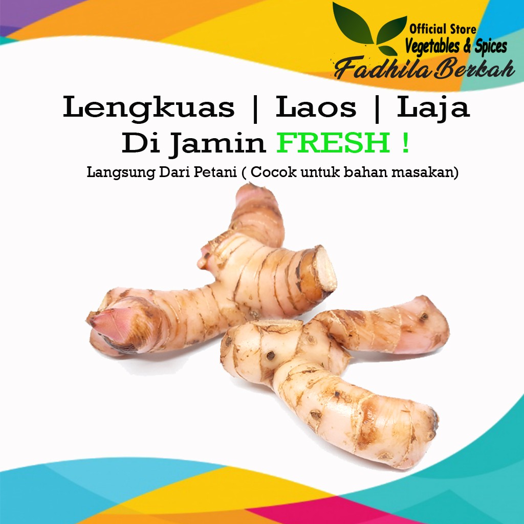 Jual Lengkuas laos laja 1kg 500gr kering murni merah segar original