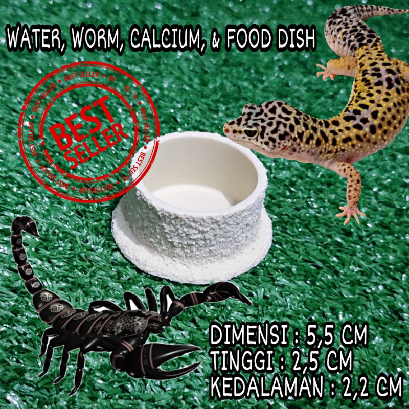 Jual Water dish BULAT feeding dish food worm calcium dish bowl mangkuk