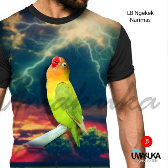 Gambar Sketsa Lovebird Ngekek 29+ Viral Gambar Sketsa