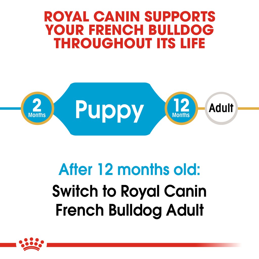 Jual Royal Canin French Bulldog Puppy (3Kg) Dry Makanan Anak Anjing - Breed Health Nutrition | Shopee Indonesia