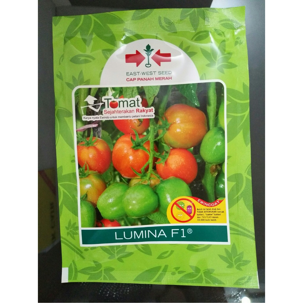 Bibit Tomat Panah Merah Terbaru BIBIT TAMAN
