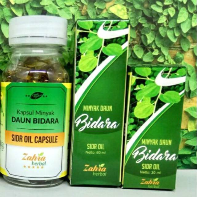 29+ Gambar Daun Bidara Untuk Ruqyah Cari Gambar Keren HD
