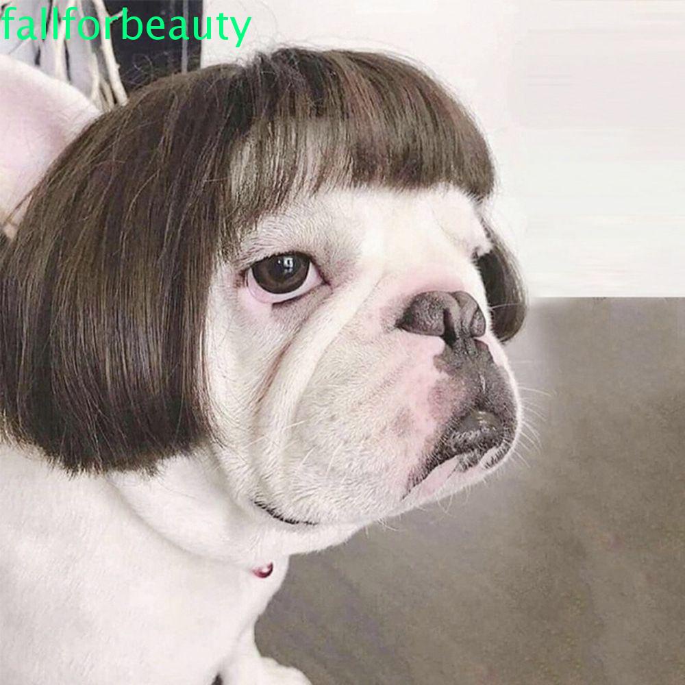 Jual Fallforbeauty Funny Dog Hat Costumes Pet Supplies Cat Wig Halloween Decoration Cap Cat Hat Photo Prop Headdresses Birthday Party Dog Costume Indonesia|Shopee Indonesia