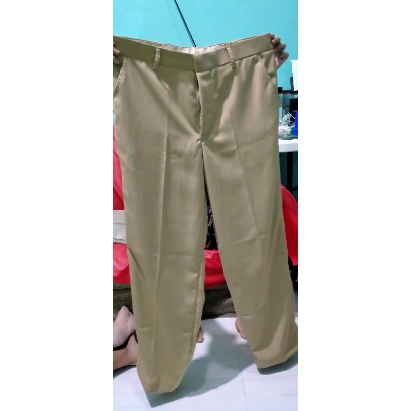 Jual Seragam Pdh Taruni Lengan Panjang Warna Coklat Bahan Halus | Shopee Indonesia