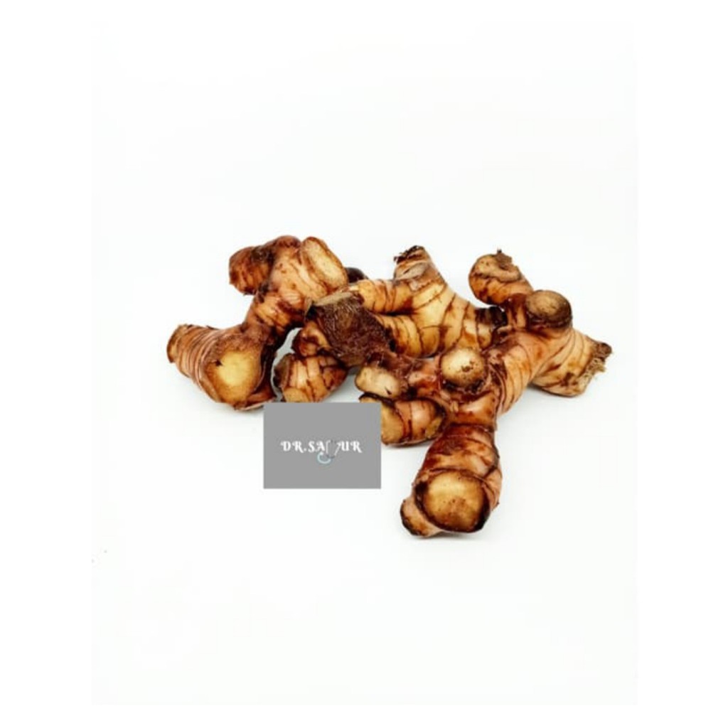 Jual Lengkuas/Laos/Laja Shopee Indonesia