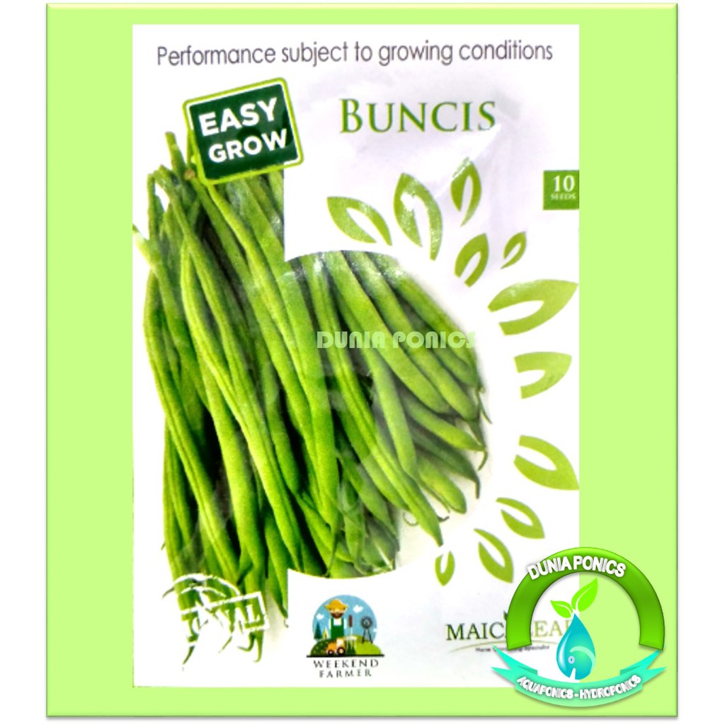 1 Pack 10 Seeds Biji Benih Bibit Tanaman Sayur BUNCIS Maica Leaf