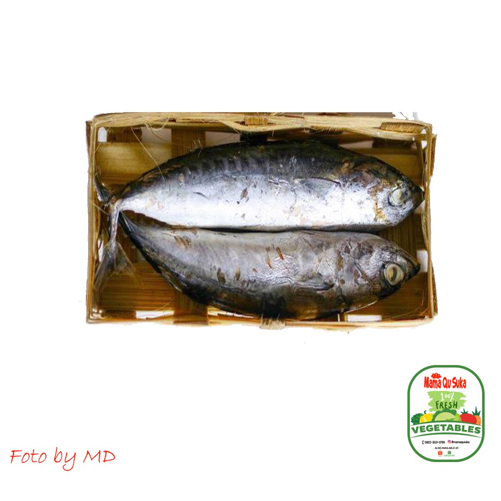 Ikan cue pindang / ikan keranjang per ekor Shopee Indonesia