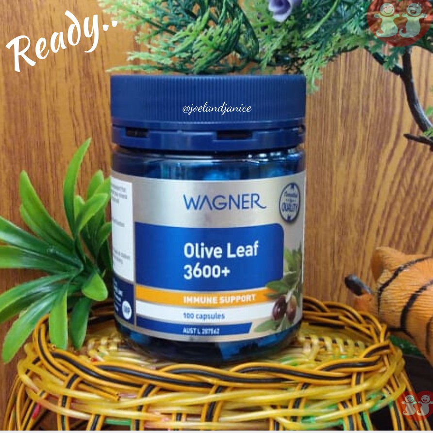 Wagner Olive Leaf 3600+ 100caps Shopee Indonesia