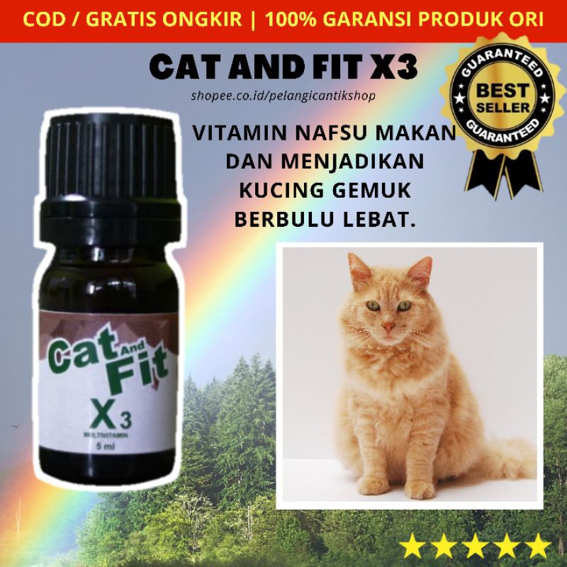 MULTIVITAMIN CAT AND FIT X3 KUCING AGAR NAFSU MAKAN DAN MENAMBAH BERAT