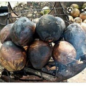 Kelapa bakar banyak khasiat | Shopee Indonesia