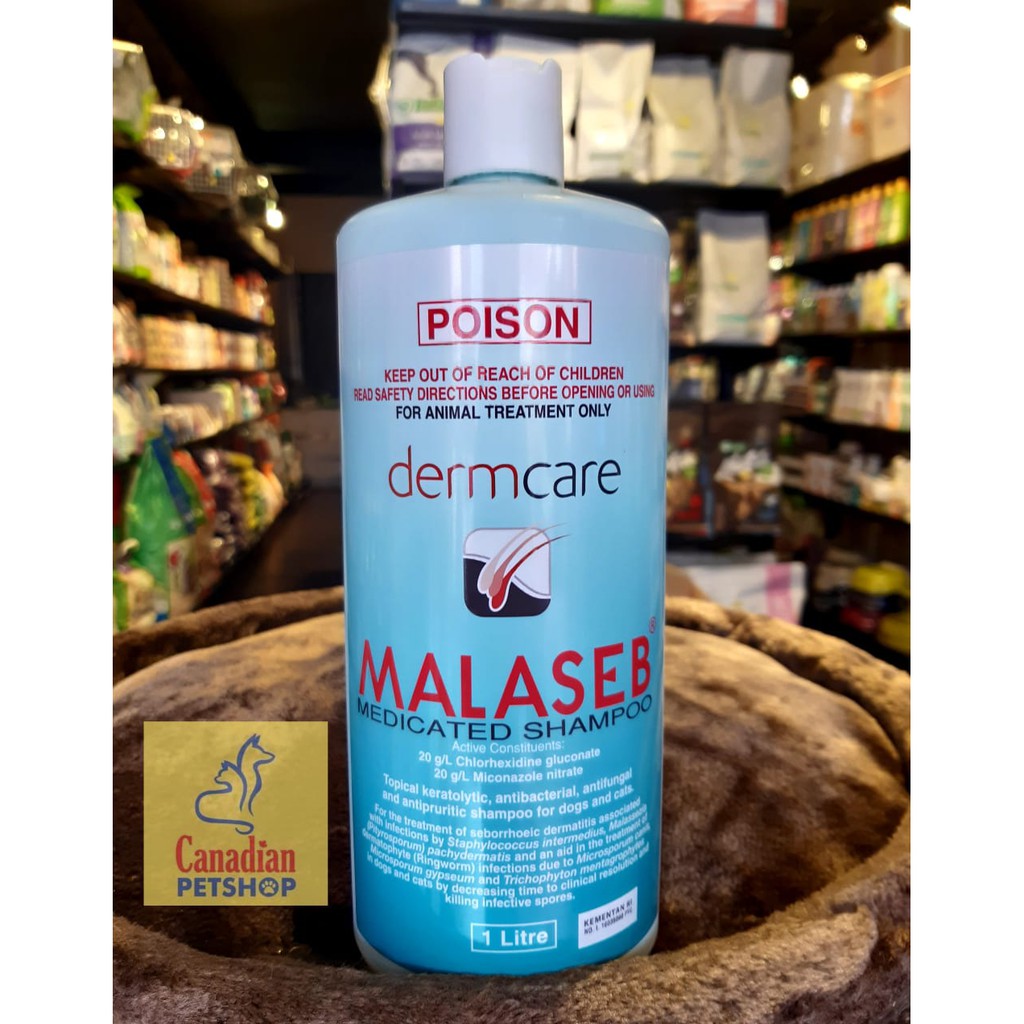 Jual Malaseb Medicated Shampoo 1 Liter Shampo Jamur Kucing dan Anjing Shopee Indonesia