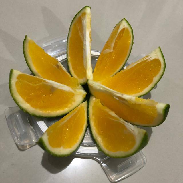 Jeruk Baby Jaffa 1kg Shopee Indonesia