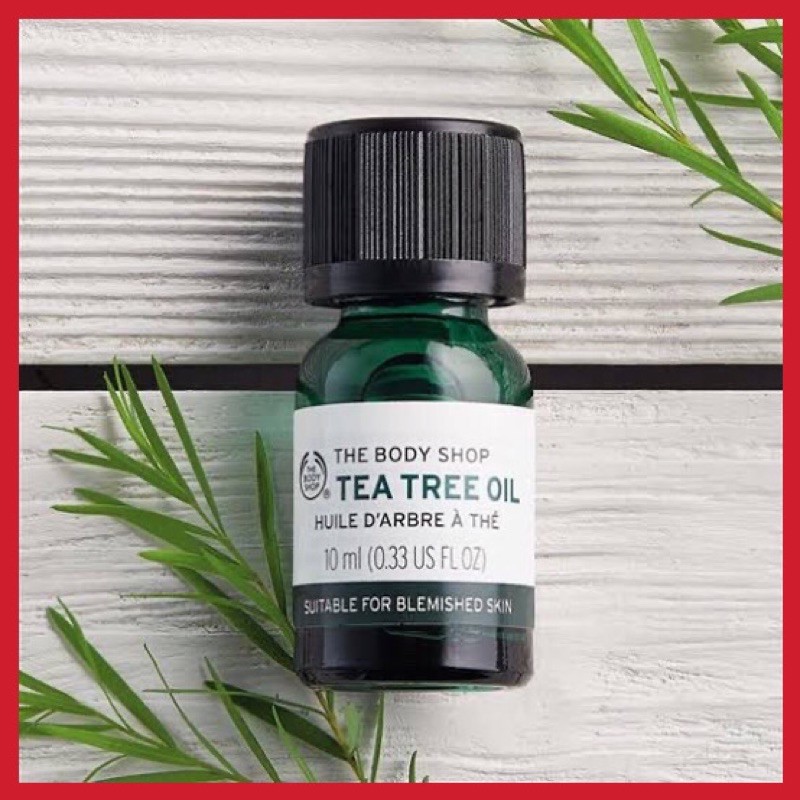 [ORIGINAL] OBAT JERAWAT TEA TREE OIL THE BODY SHOP Shopee Indonesia