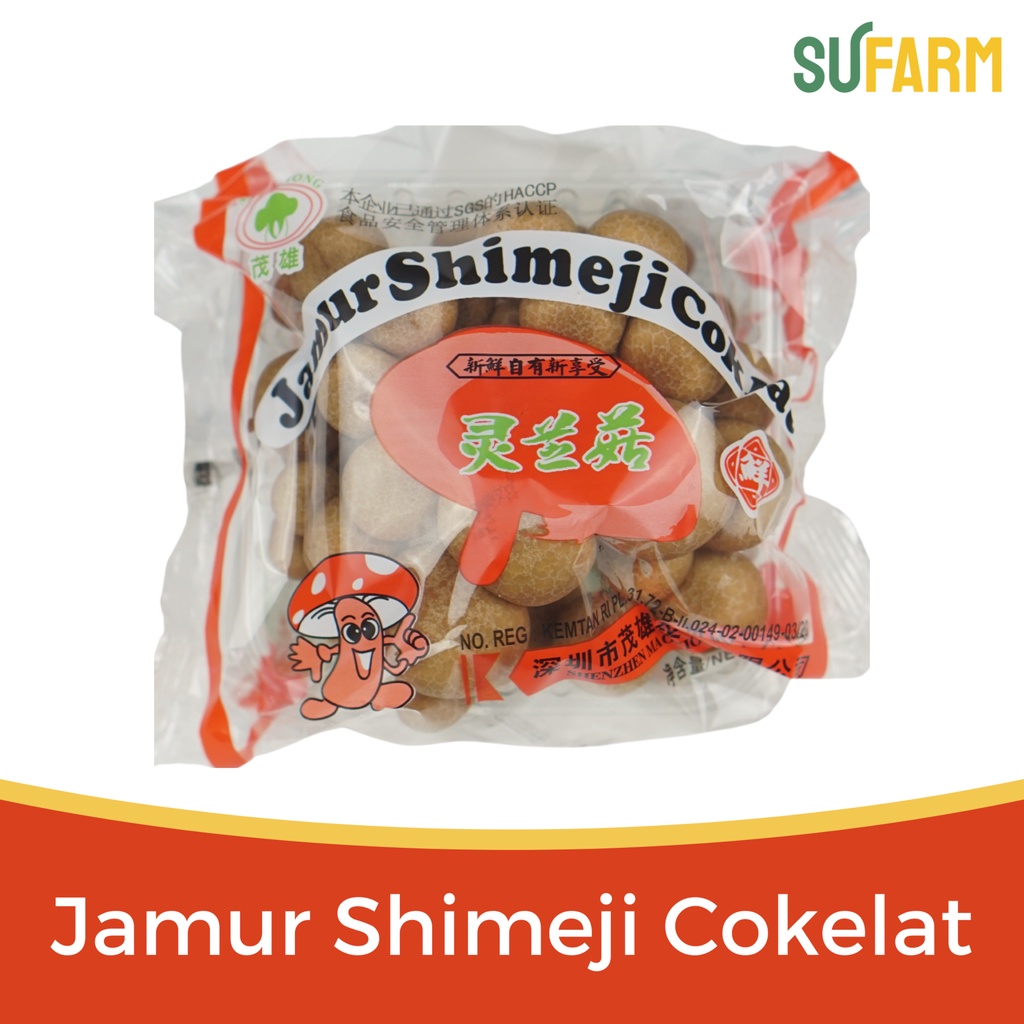 Jual Jamur Shimeji Cokelat Shopee Indonesia