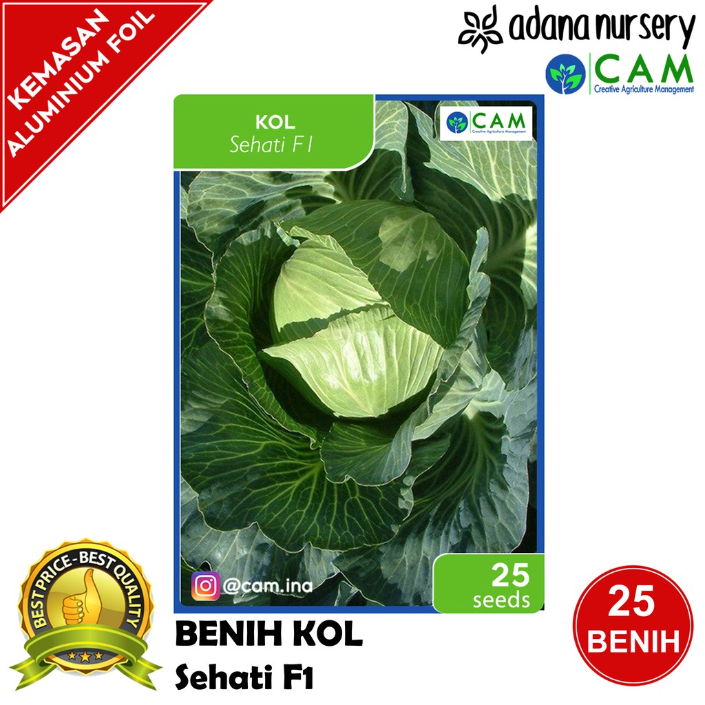 Benih / Biji Kol Dataran Rendah Sehati F1 Repack 25 Seeds Shopee
