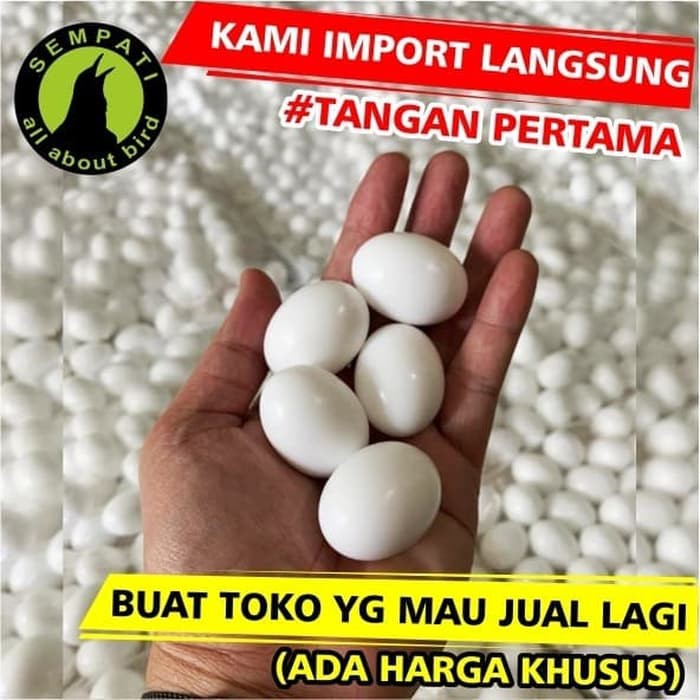 HH299 TELUR PALSU MAINAN BURUNG MERPATI | Shopee Indonesia