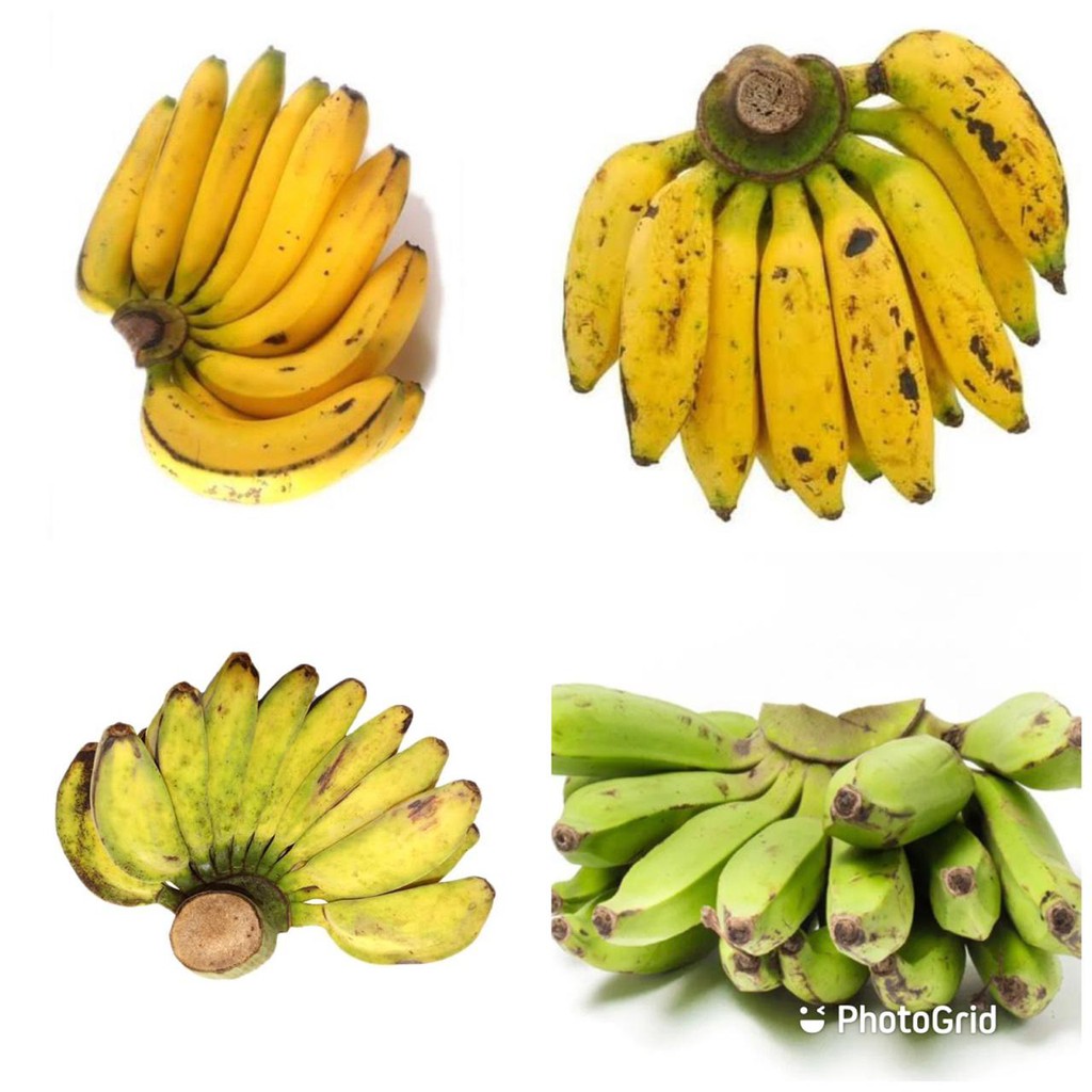 Jual Pisang Ambon Pisang Mas Pisang Kepok Pisang Uli Pisang Nangka