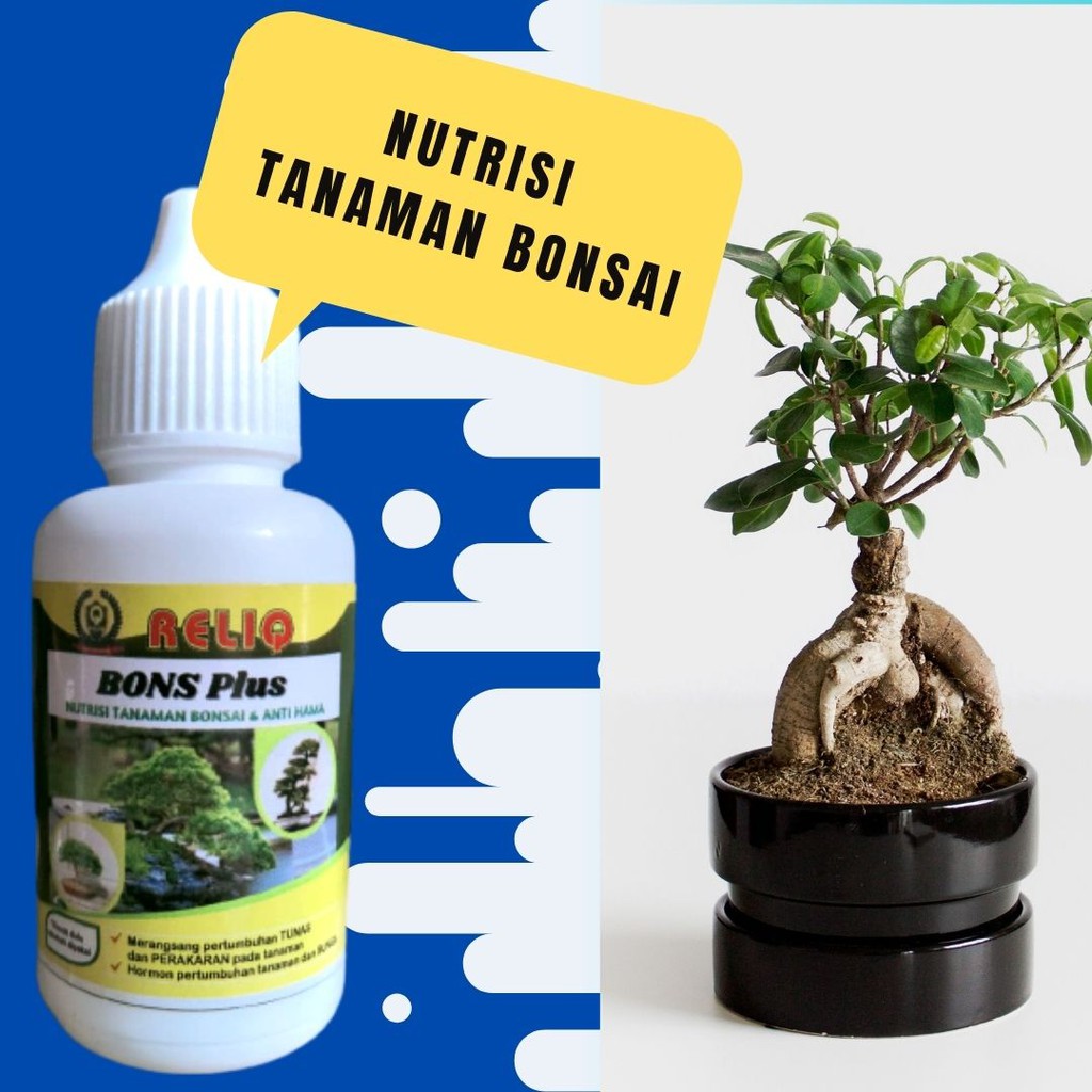 Jual Nutrisi Tanaman Bonsai Serut, Pupuk Hormon Reliq Bons Plus Perangsang  Pertumbuhan Tunas Bonsai Indonesia|Shopee Indonesia