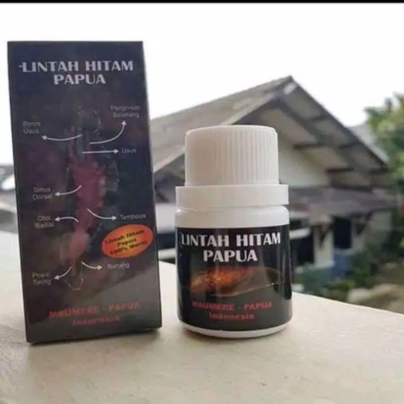 minyak lintah papua asli