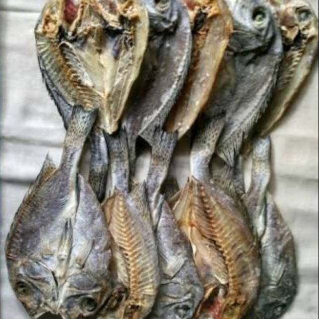 Gambar ikan cupang Gambar Ikan Asin Belah