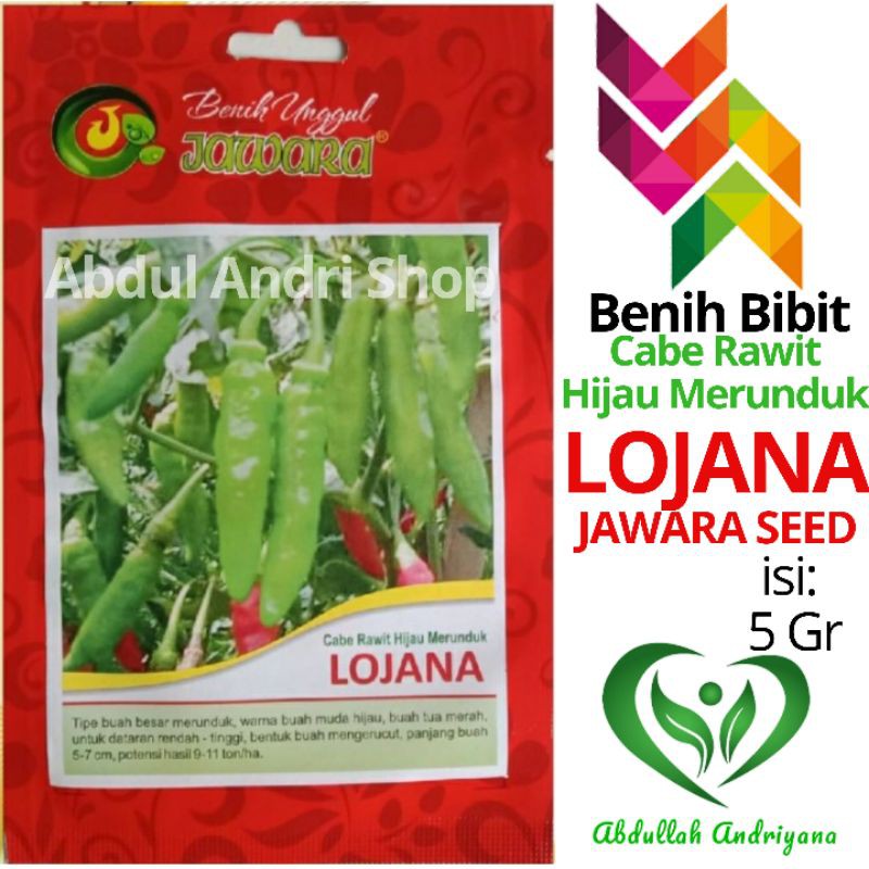 Benih Bibit Cabe Rawit Hijau Merunduk LOJANA isi 5 Gr Produk jawara
