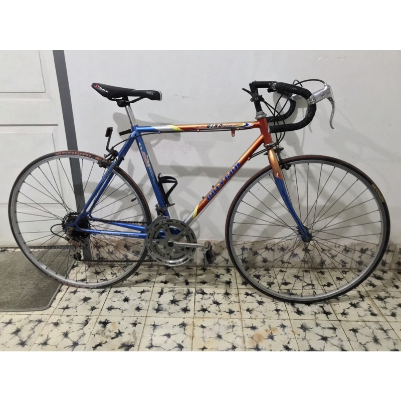 Jual Sepeda Polygon Jadul Harga Terbaik Agustus 2022 | Shopee Indonesia