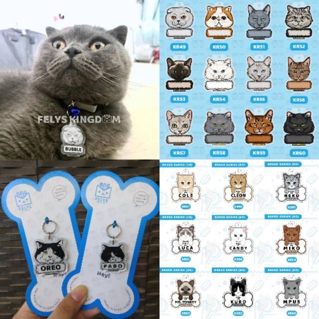 Nama Kucing Indonesia