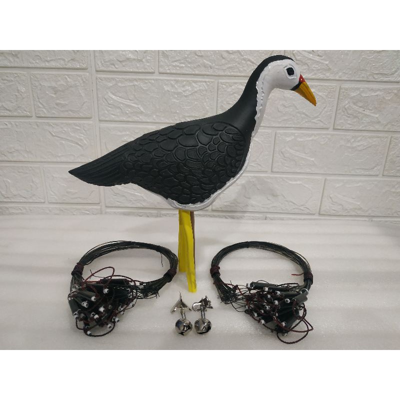 Harga Jontrot Burung Ruak Ruak Terbaru September 2021 | Biggo Indonesia 800_X_800_jpg