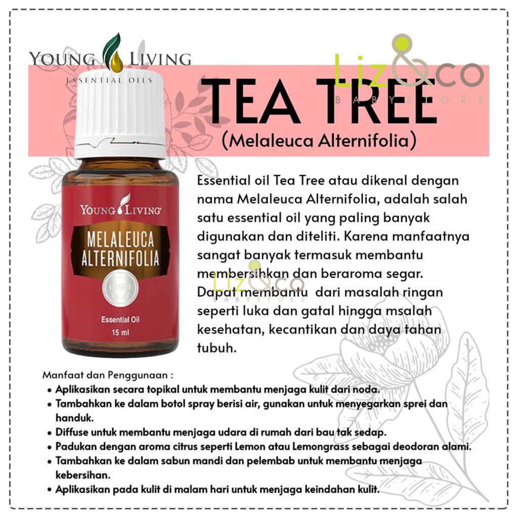 Melaleuca Young Living