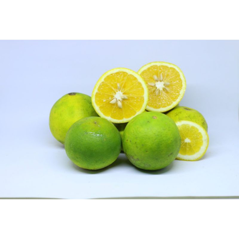 Jeruk Baby Jaffa 1kg Shopee Indonesia