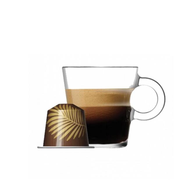 Jual Nespresso Forest Almond Flavour Limited Edition Coffee Capsules