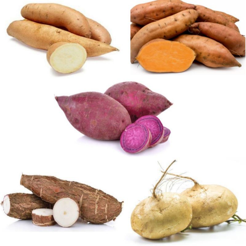 Ubi Jalar Putih, Ubi Merah, Ubi Ungu, Singkong, Bengkoang | Shopee Indonesia