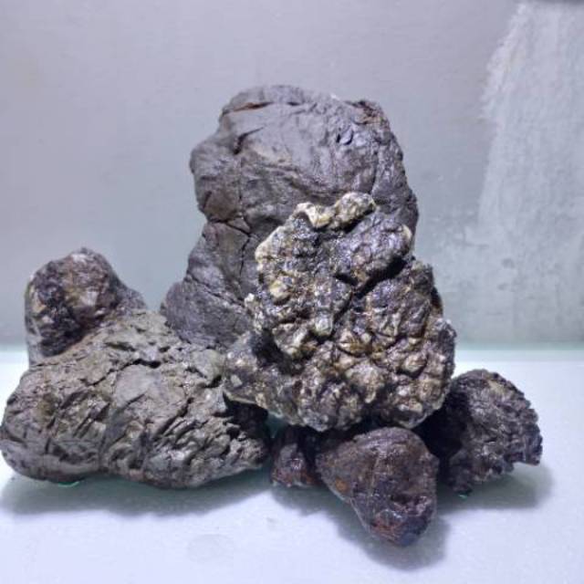 Batu Turly truly bahan aquascape Shopee Indonesia