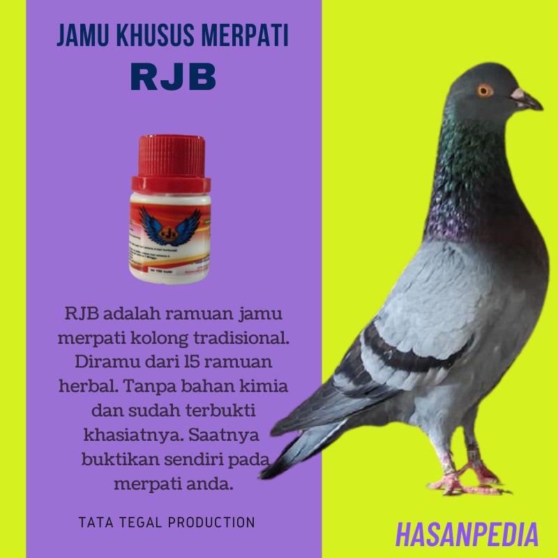 Jual Rjb Jamu Merpati Kolongan Kolong Balap Tinggi Pos Giring Kenceng Keras Kuat Obat Herbal Burung Dara | Shopee Indonesia
