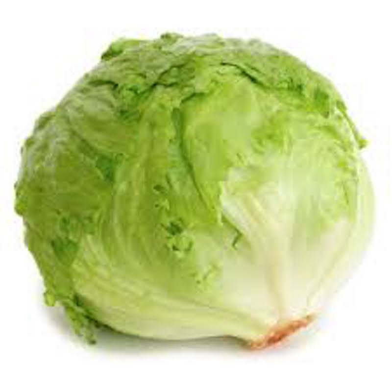 Jual Lettuce Head Organik / Organic Lettuce Head 100g Shopee Indonesia