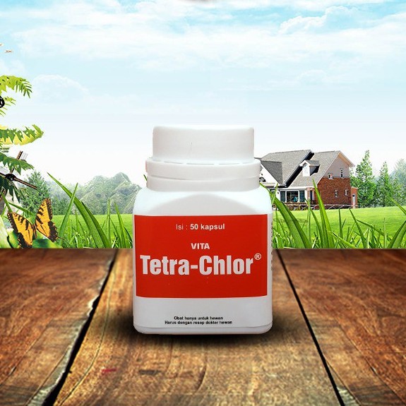 Jual Tetra Chlor 50 Kapsul Star Farm Indonesia