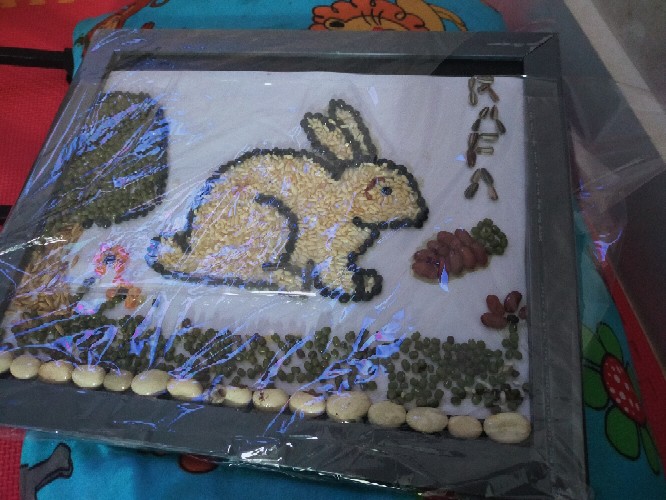 Kolase Gambar Kelinci – Belajar 500_X_666_jpg