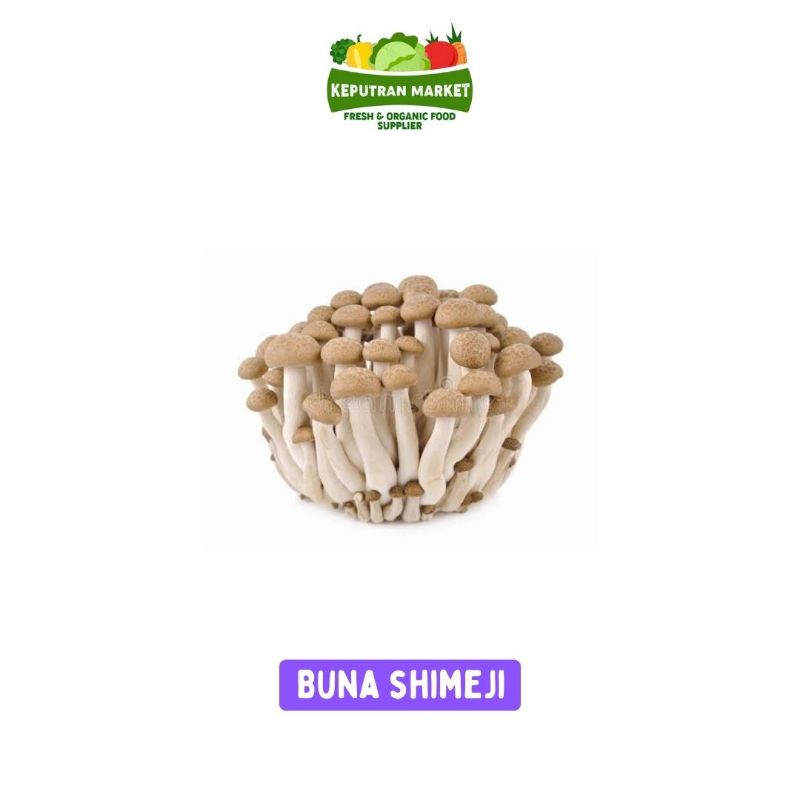 Jual PALING MURAH !!! Jamur Shimeji Coklat / Buna Shimeji Mushroom Per