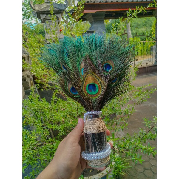Jual Vas Bulu Merak Asli Indonesia|Shopee Indonesia 600_X_600_jpg