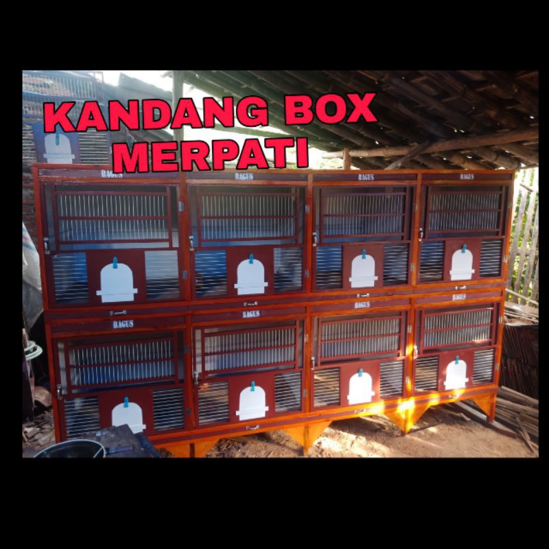 Jual Kandang Merpati Isi 4 - 8 Indonesia|Shopee Indonesia 800_X_800_jpg