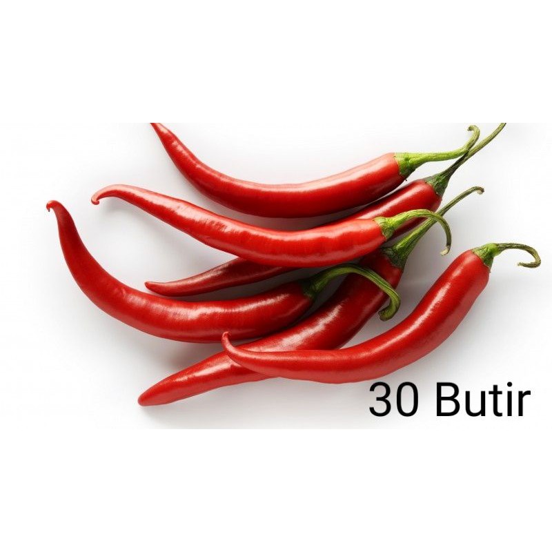 bibit cabe merah besar Shopee Indonesia