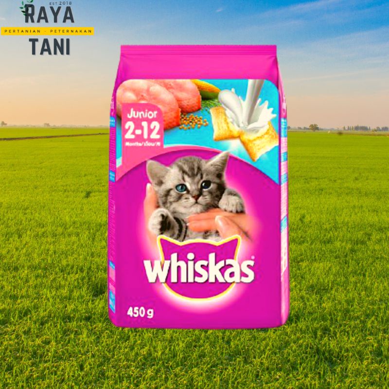 Jual Whiskas Dry Food kitten makanan kering untuk anak kucing 212 bulan isi 450gr Shopee