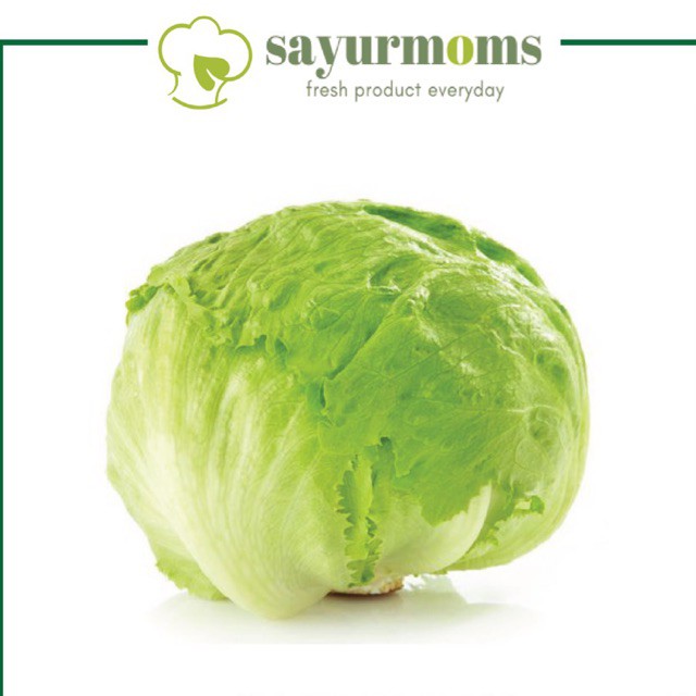 Jual Lettuce Iceberg 500 gram 1 kg Surabaya Shopee Indonesia