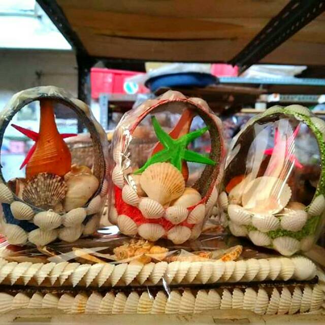 12 Macam Kerajinan Unik Dari Kerang Lengkap Manfaatnya contoh kerajinan kulit kerang