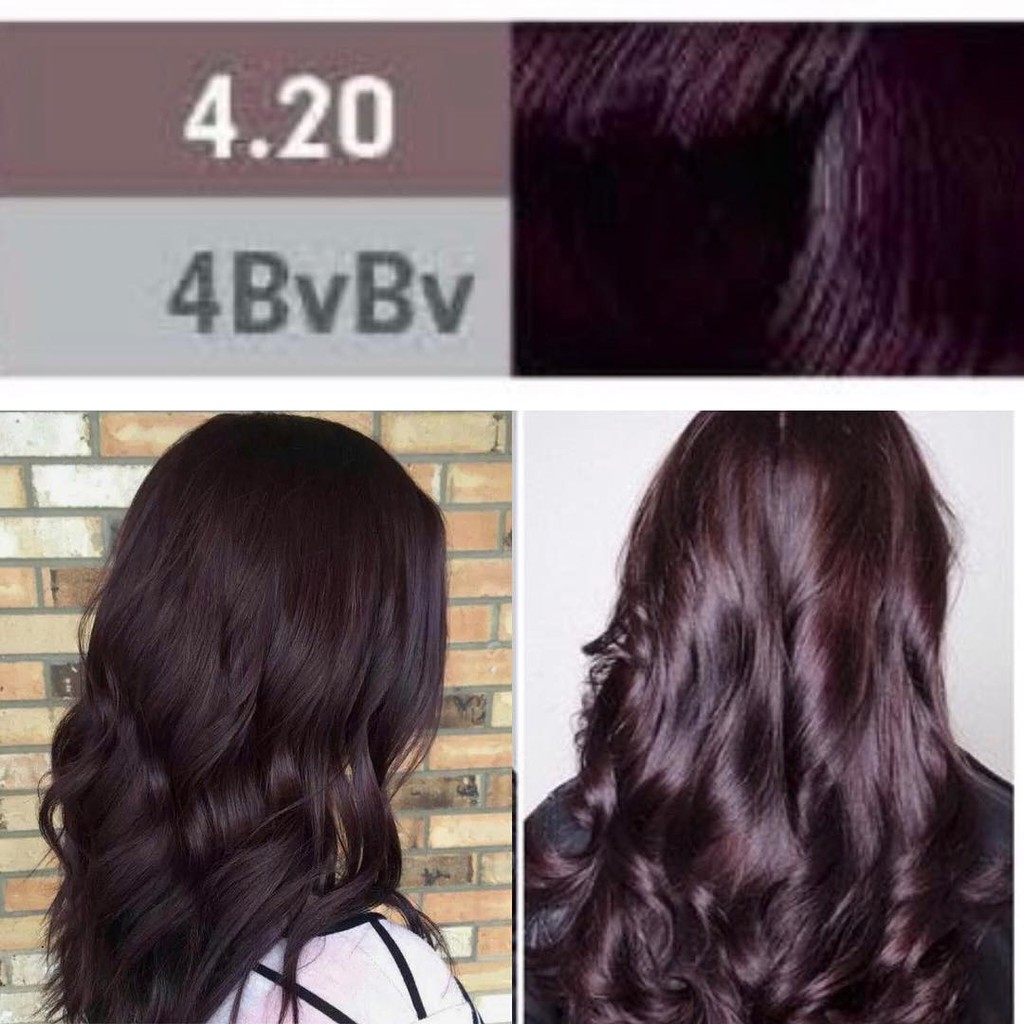 Cat Rambut Pravana Chromasilk 4.20 bright beige Brown