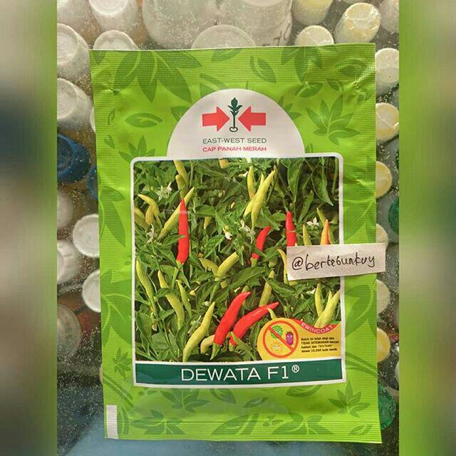 Merk Bibit Cabe Rawit Yang Bagus BIBIT TAMAN